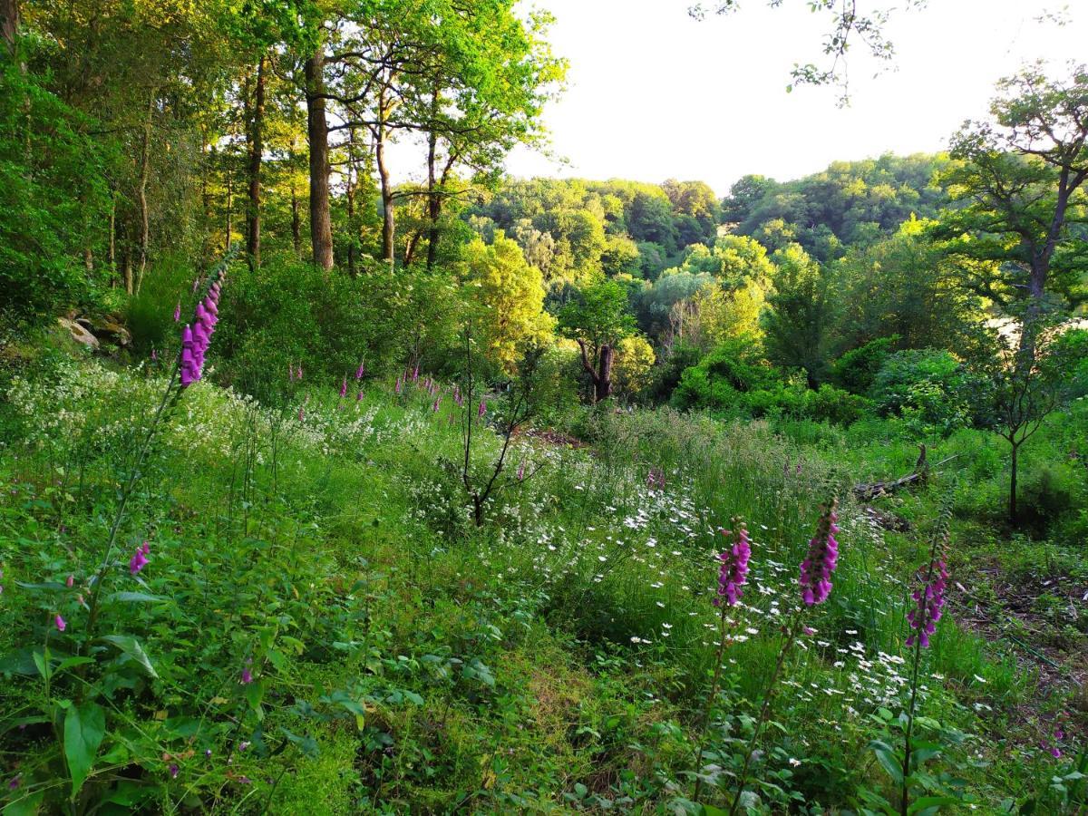 Les Gites Des Beaux Chenes Mortagne-sur-Sevre Kültér fotó
