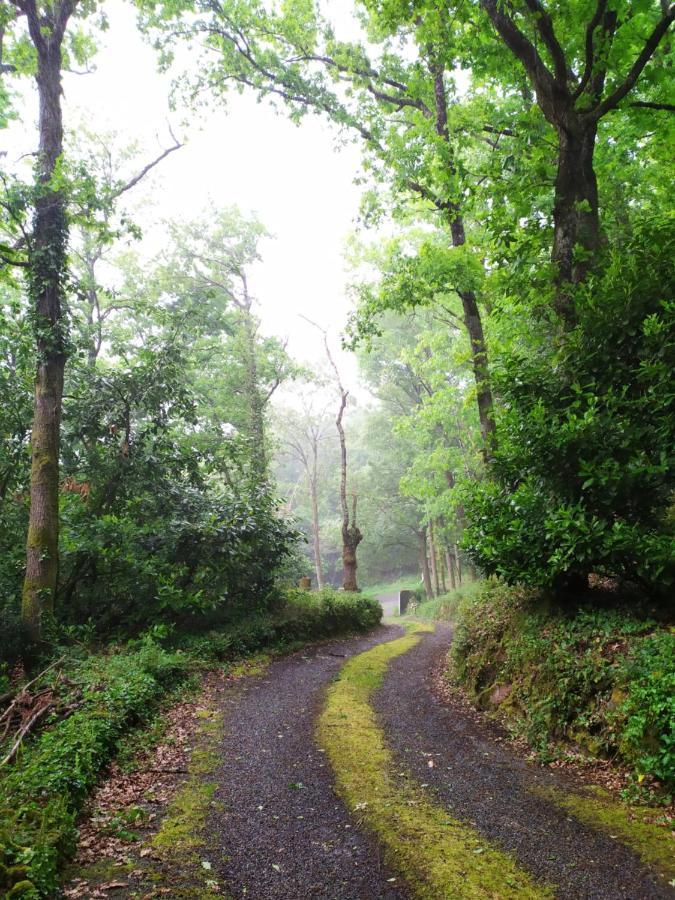 Les Gites Des Beaux Chenes Mortagne-sur-Sevre Kültér fotó
